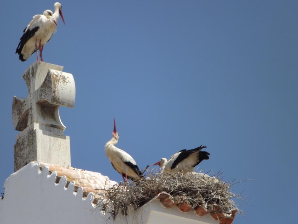 Entrecubos Guesthouse Olhão Εξωτερικό φωτογραφία